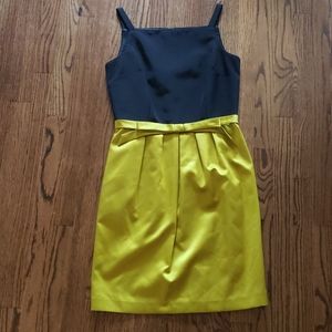 Sara Campbell 8 dress